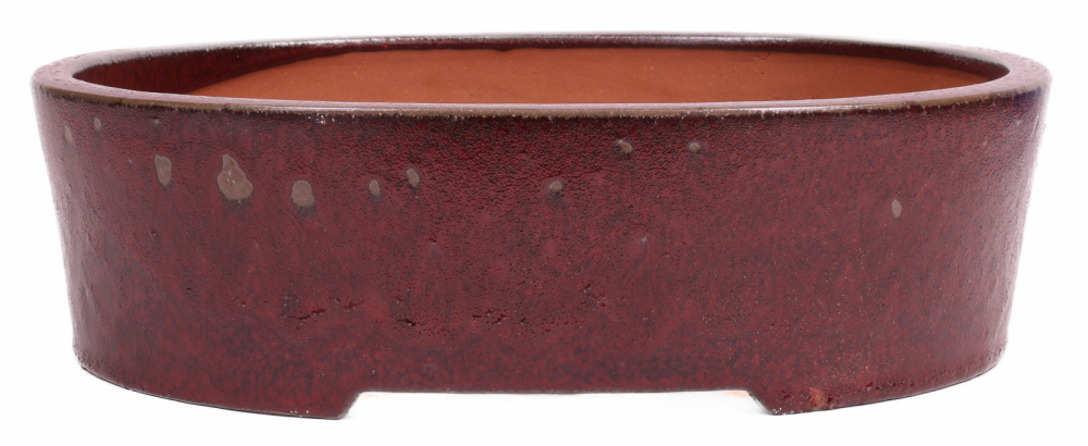 Bonsai - Schale oval 37 x 31 x 11 cm bordeaux 40237