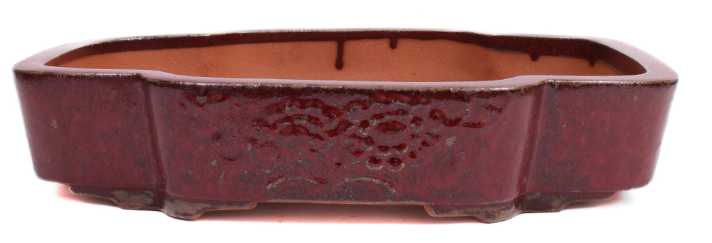 Bonsai - Schale eckig 46.5 x 38.5 x 9.5 cm bordeaux frostfest 40240