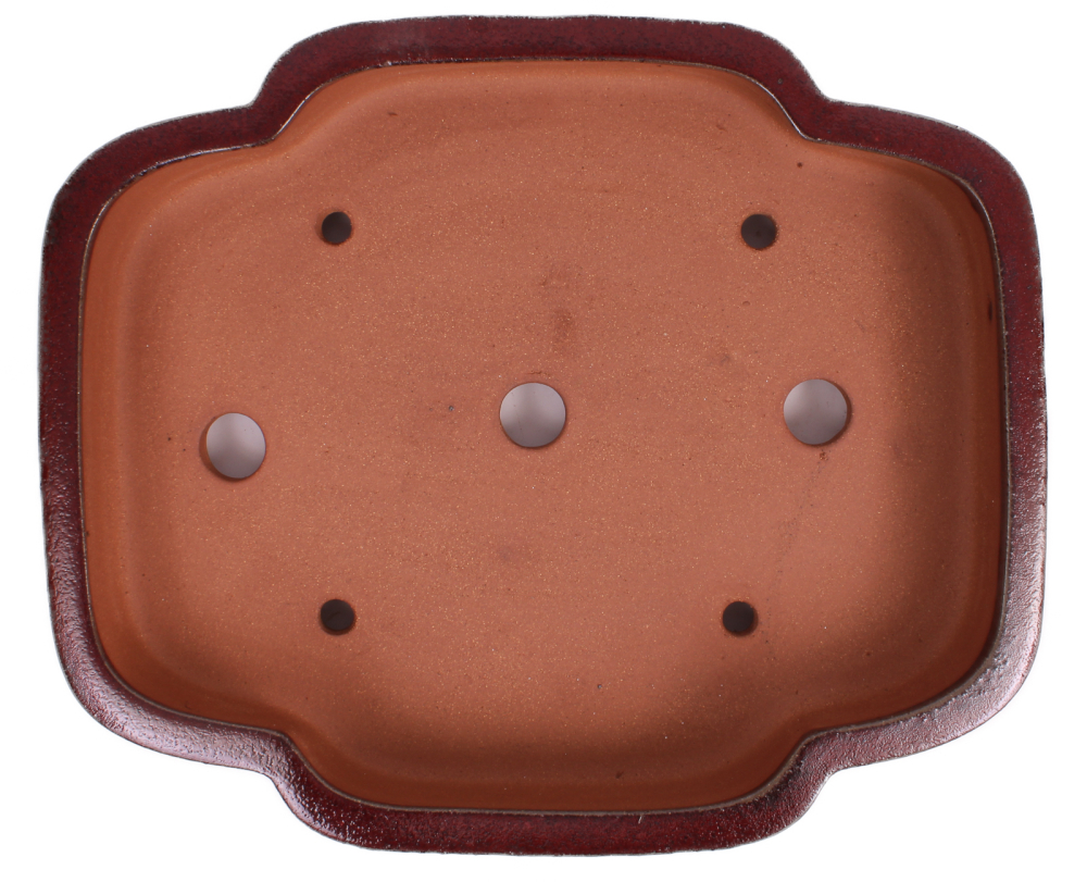 Preview: Bonsai - Schale eckig 46.5 x 38.5 x 9.5 cm bordeaux frostfest 40240