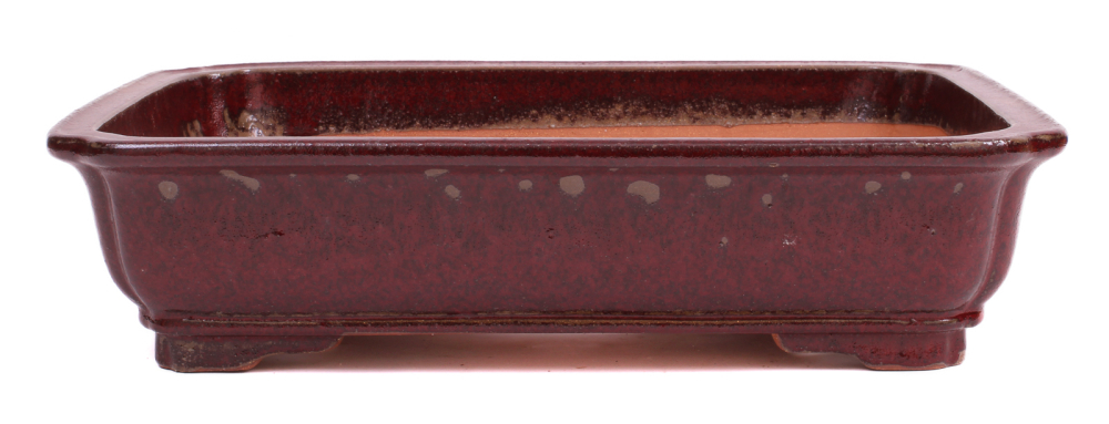 Bonsai - Schale eckig 41.5 x 32.5 x 10 cm bordeaux handgemacht frostfest  40247A  2. Wahl