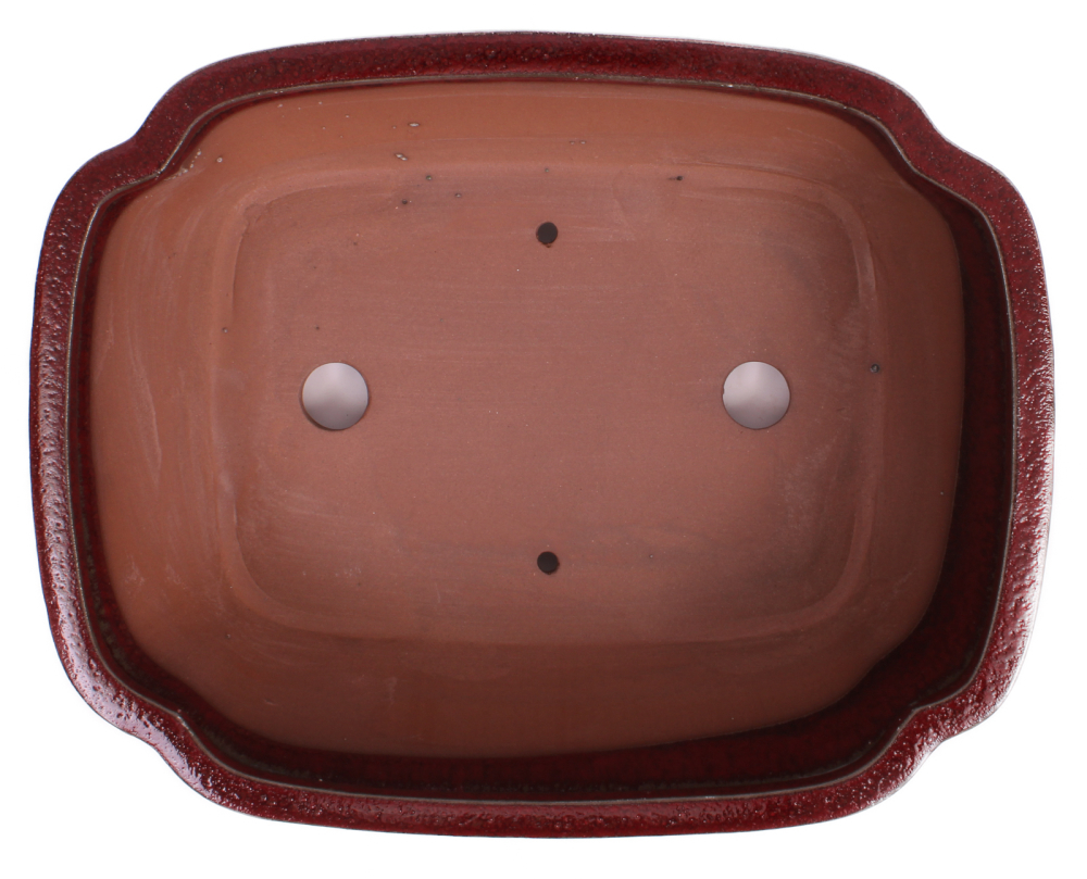 Preview: Bonsai - Schale eckig 33 x 26 x 10 cm bordeaux 40249