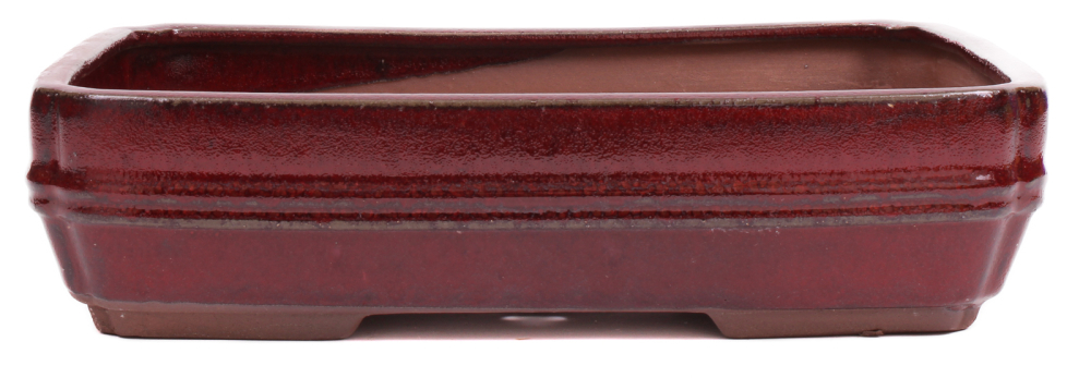 Bonsai - Schale eckig 32 x 23.5 x 8 cm bordeaux 40250