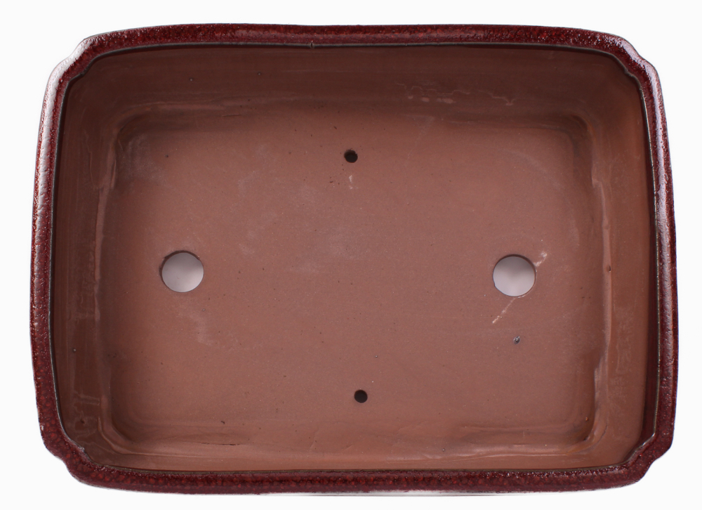 Preview: Bonsai - Schale eckig 32 x 23.5 x 8 cm bordeaux 40250