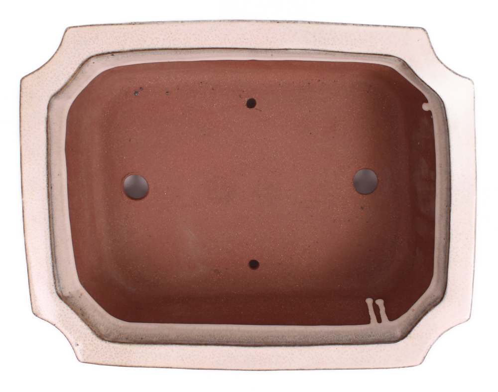 Preview: Bonsai - Schale  eckig 31 x 24 x 9.5 cm cremefarben frostfest 40254