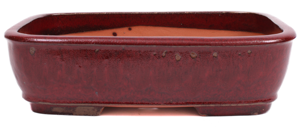 Bonsai - Schale eckig 37.5 x 29.5 x 10.5 cm bordeaux 40255