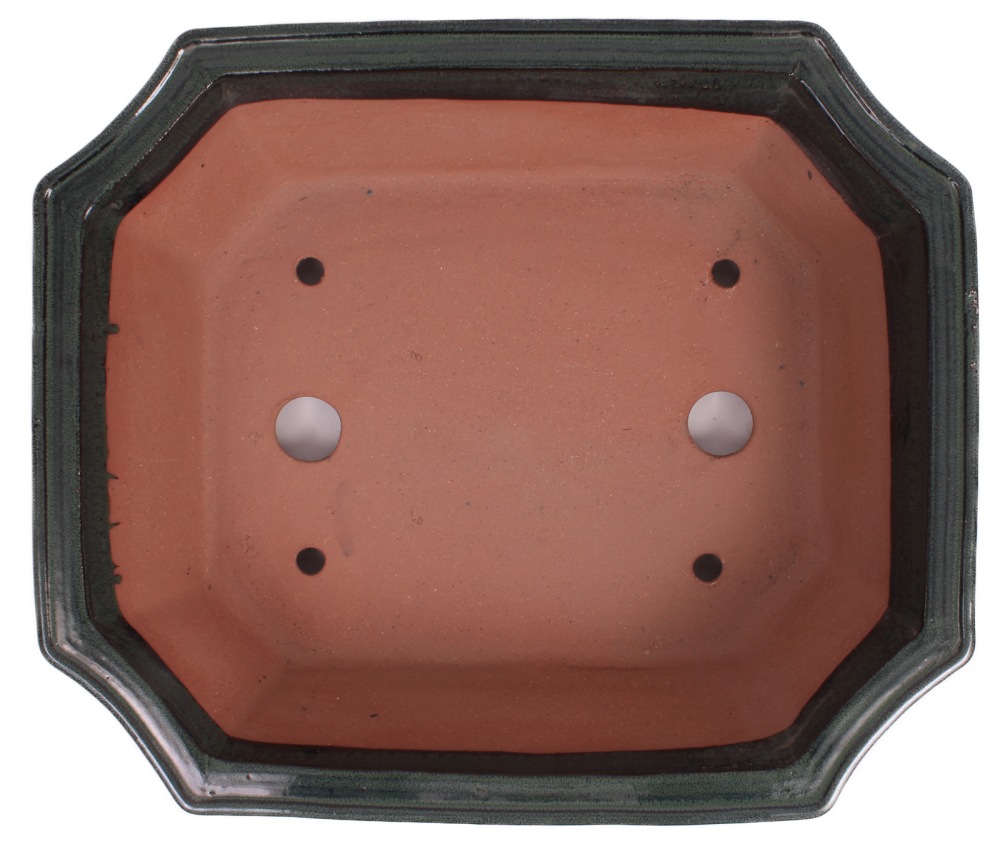 Preview: Bonsai - Schale  eckig  54.5 x 46 x 15.5 cm moosgrün frostfest 40257