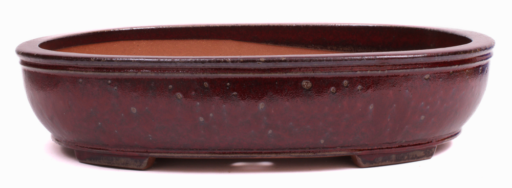 Bonsai - Schale oval 54 x 43.5 x 12.5 cm bordeaux frostfest 40262