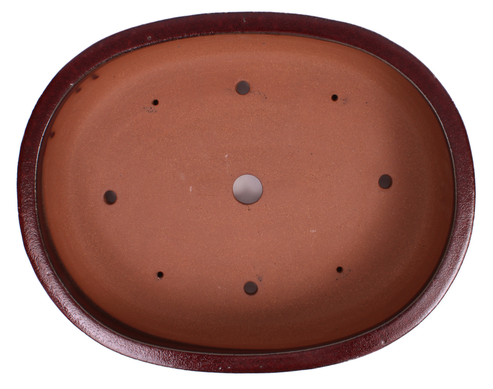 Preview: Bonsai - Schale oval 54 x 43.5 x 12.5 cm bordeaux frostfest 40262