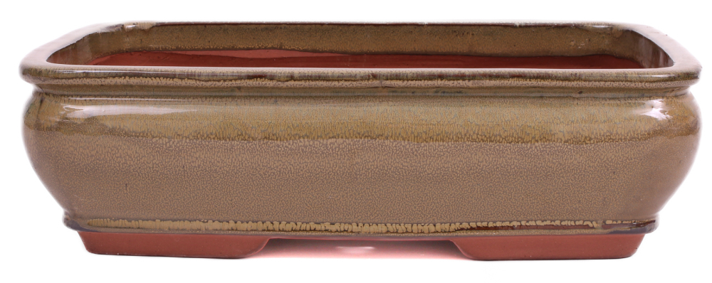 Preview: Bonsai - Schale eckig 38 x 30 x 10.5 cm, hellbraun 40405