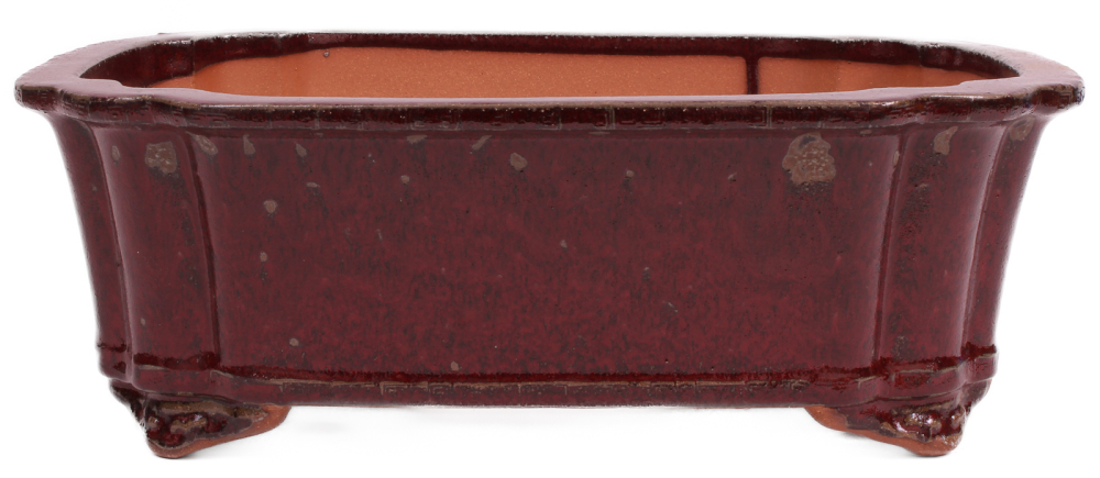 Preview: Bonsai - Schale eckig 40.5 x 32.5 x 14.5 cm, bordeaux  frostfest 40425