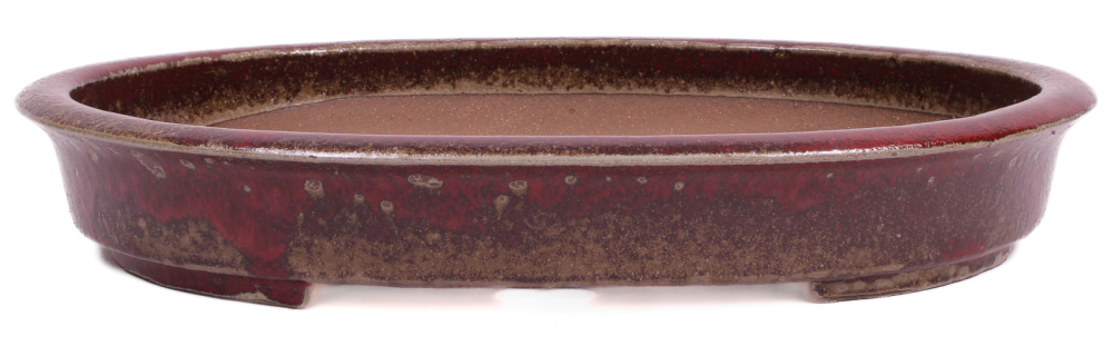 Bonsai - Schale oval 48 x 38.5 x 8 cm, bordeaux  frostfest 40431