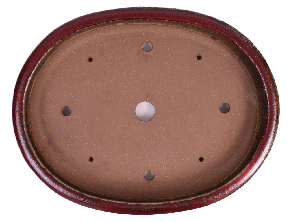 Preview: Bonsai - Schale oval 48 x 38.5 x 8 cm, bordeaux  frostfest 40431