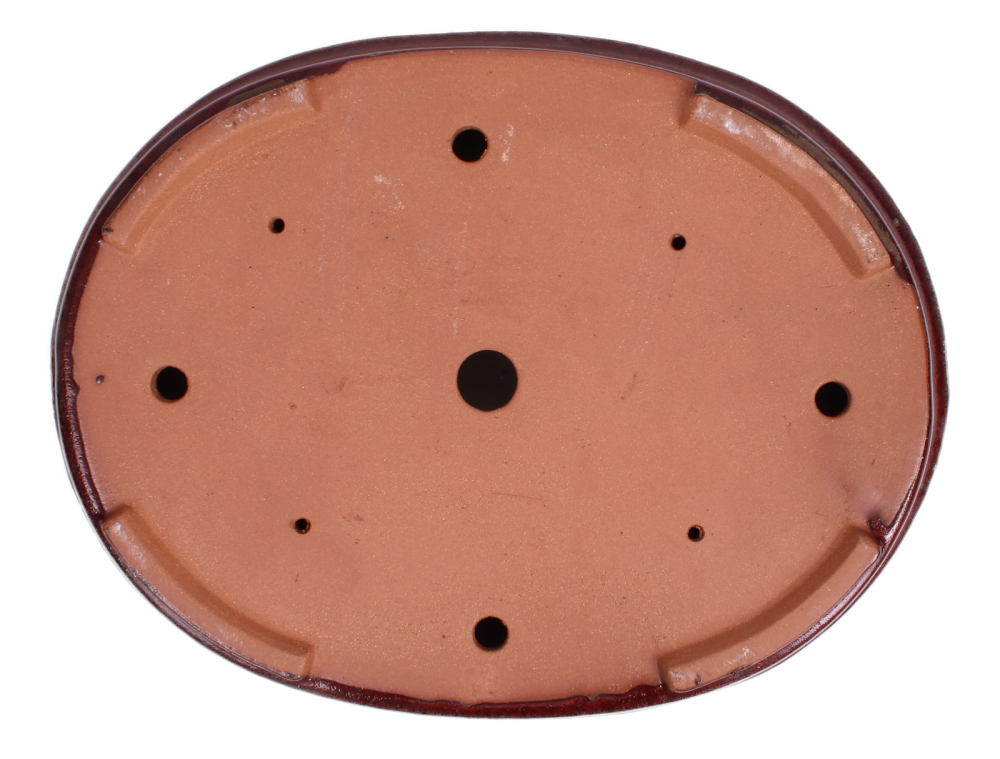 Preview: Bonsai - Schale oval 48 x 38.5 x 8 cm, bordeaux  frostfest 40431