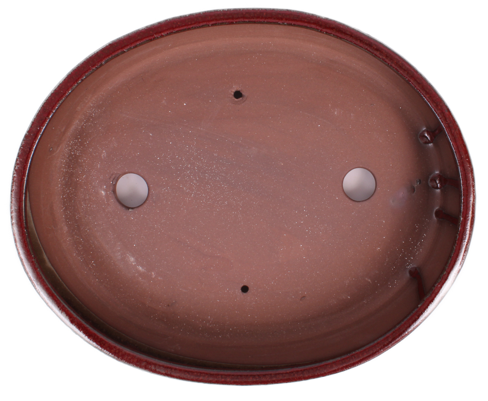 Preview: Bonsai - Schale oval 32 x 26 x 7 cm, bordeaux 40436