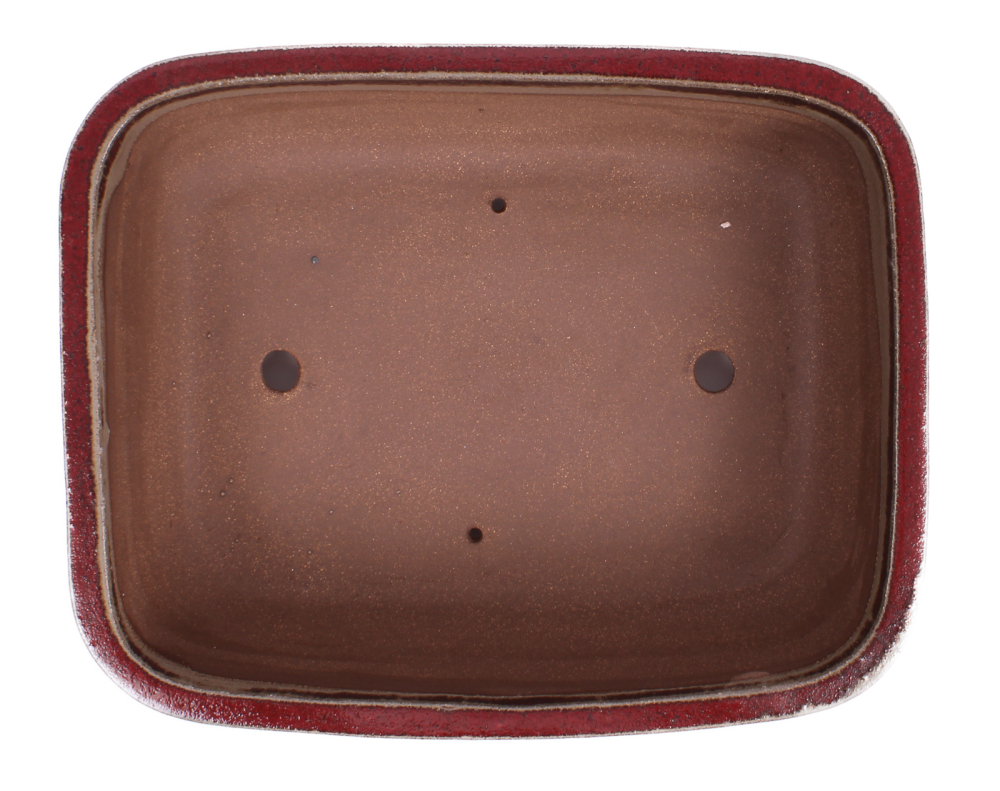 Preview: Bonsai - Schale  eckig  31 x 25 x 9.5 cm bordeaux frostfest 40461