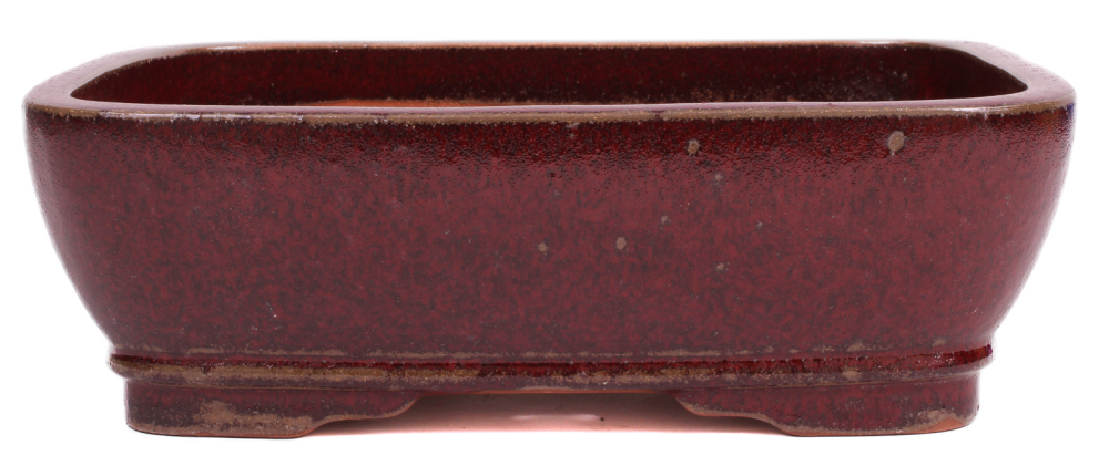 Bonsai - Schale  eckig  31 x 25 x 9.5 cm bordeaux frostfest 40461