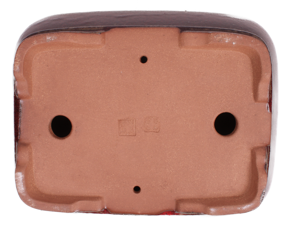 Preview: Bonsai - Schale  eckig  31 x 25 x 9.5 cm bordeaux frostfest 40461