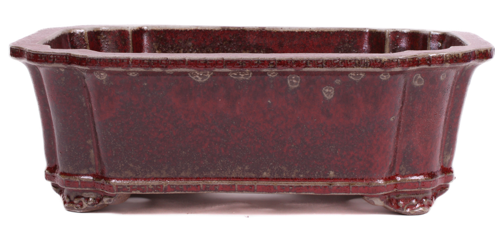 Bonsai - Schale eckig 36 x 28 x 12.5 cm  bordeaux  frostfest 40462