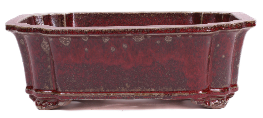 Preview: Bonsai - Schale eckig 36 x 28 x 12.5 cm  bordeaux  frostfest 40462