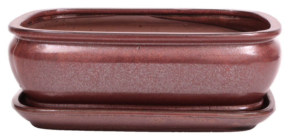 Bonsai - Schale eckig 32 x 25.5 x 10.5 cm, kupferfarben, mit Untersetzer 41110