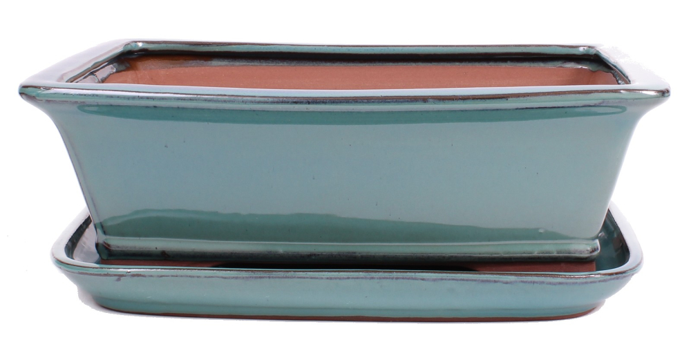 Bonsai - Schale eckig 32 x 26 x 10.5 cm, grün, mit Untersetzer 41111