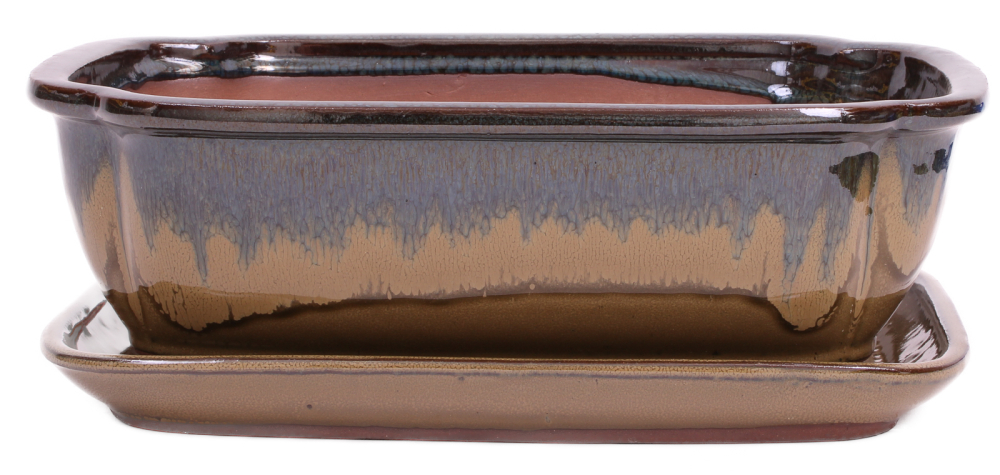 Bonsai - Schale eckig 32 x 25.5 x 10.5 cm , blaugrün / beige , mit Untersetzer 41119