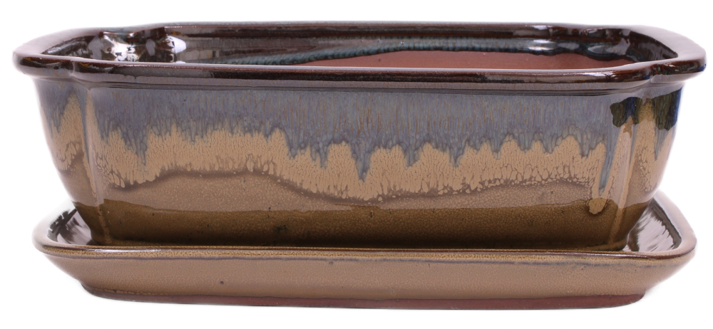 Preview: Bonsai - Schale eckig 32 x 25.5 x 10.5 cm , blaugrün / beige , mit Untersetzer 41119