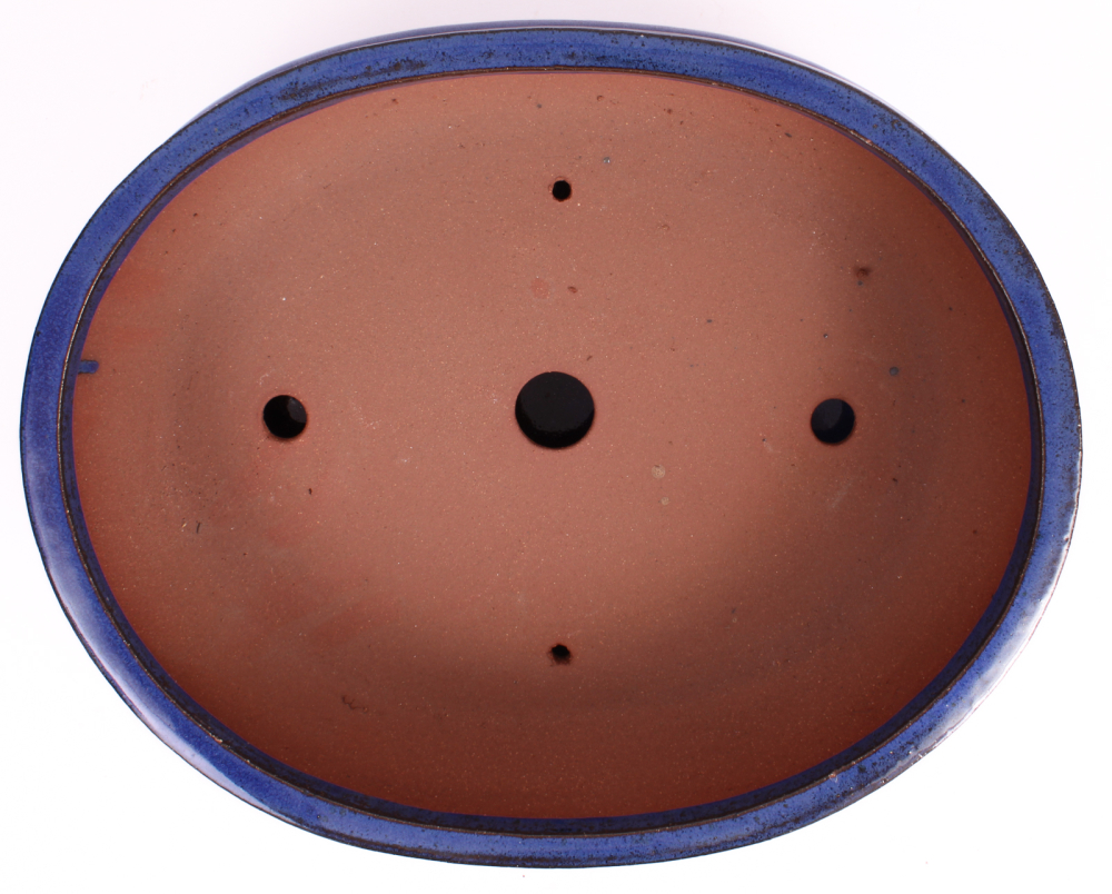 Preview: Bonsai - Schale oval 36 x 28.5 x 10.5 cm blau mit Untersetzer 41125