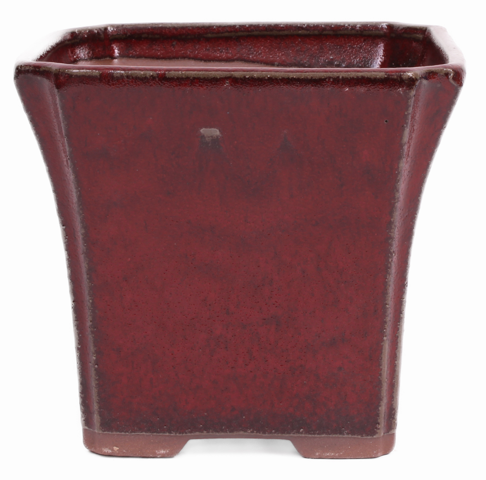 Preview: Bonsai Kaskadenschale quadratisch 15.5 x 15.5 x 14 cm bordeaux 50065