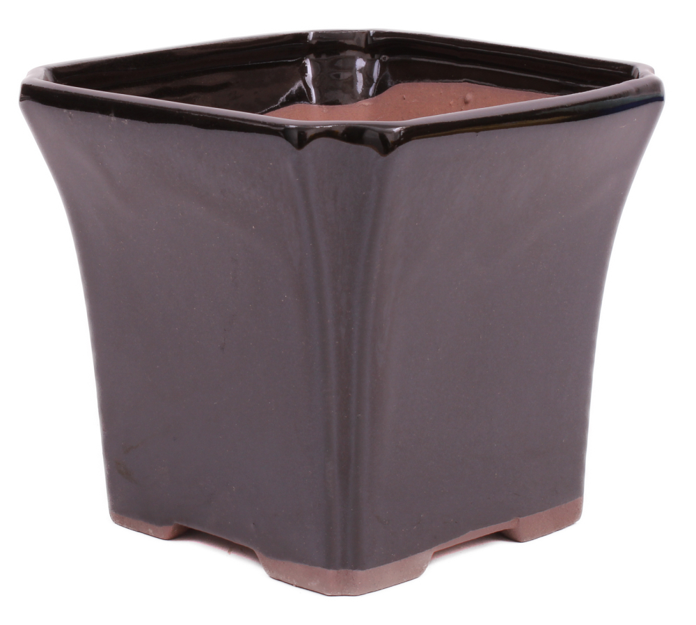 Bonsai Kaskadenschale quadratisch 15.5 x 15.5 x 14 cm schwarz  50066