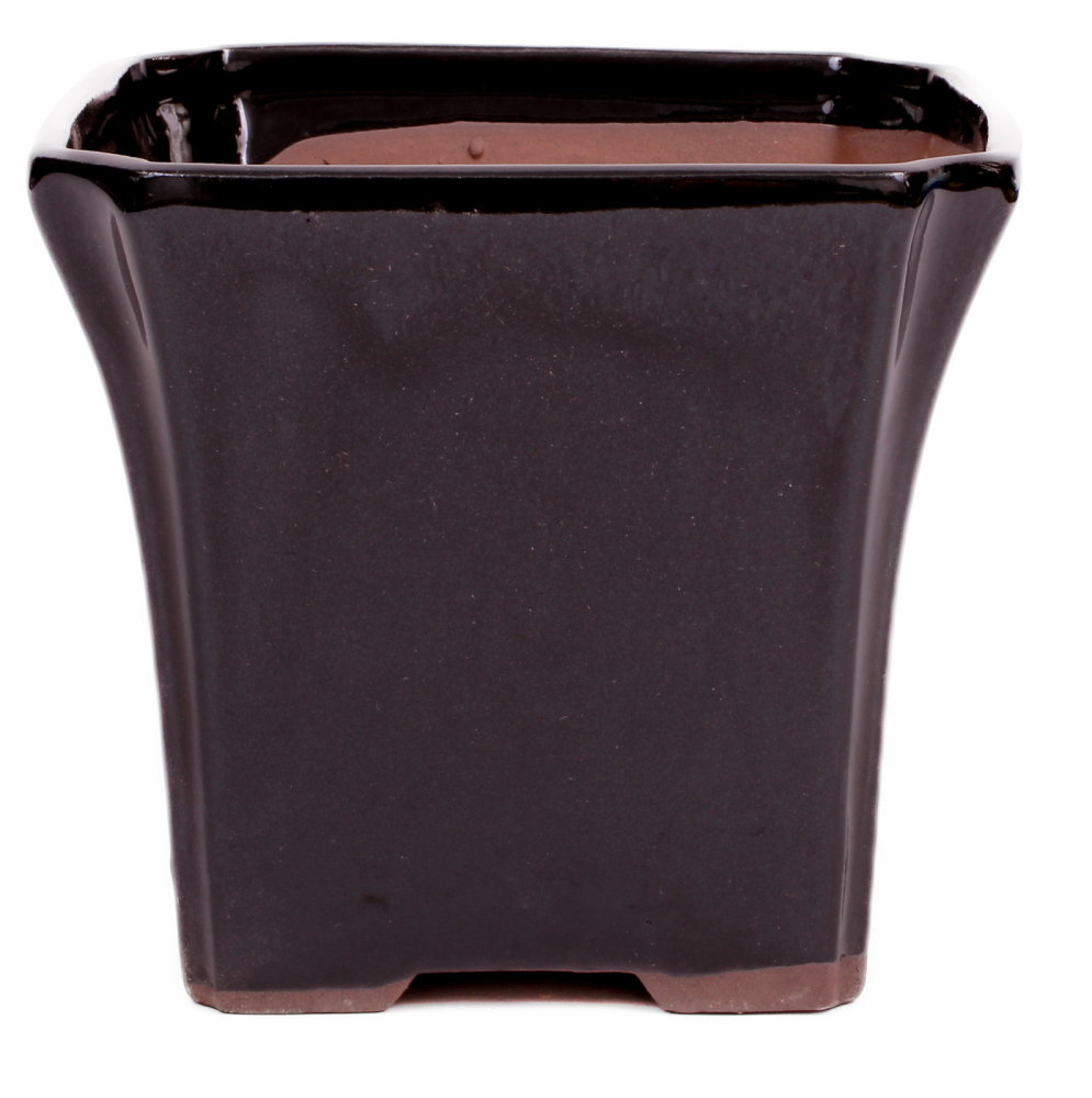 Preview: Bonsai Kaskadenschale quadratisch 15.5 x 15.5 x 14 cm schwarz  50066