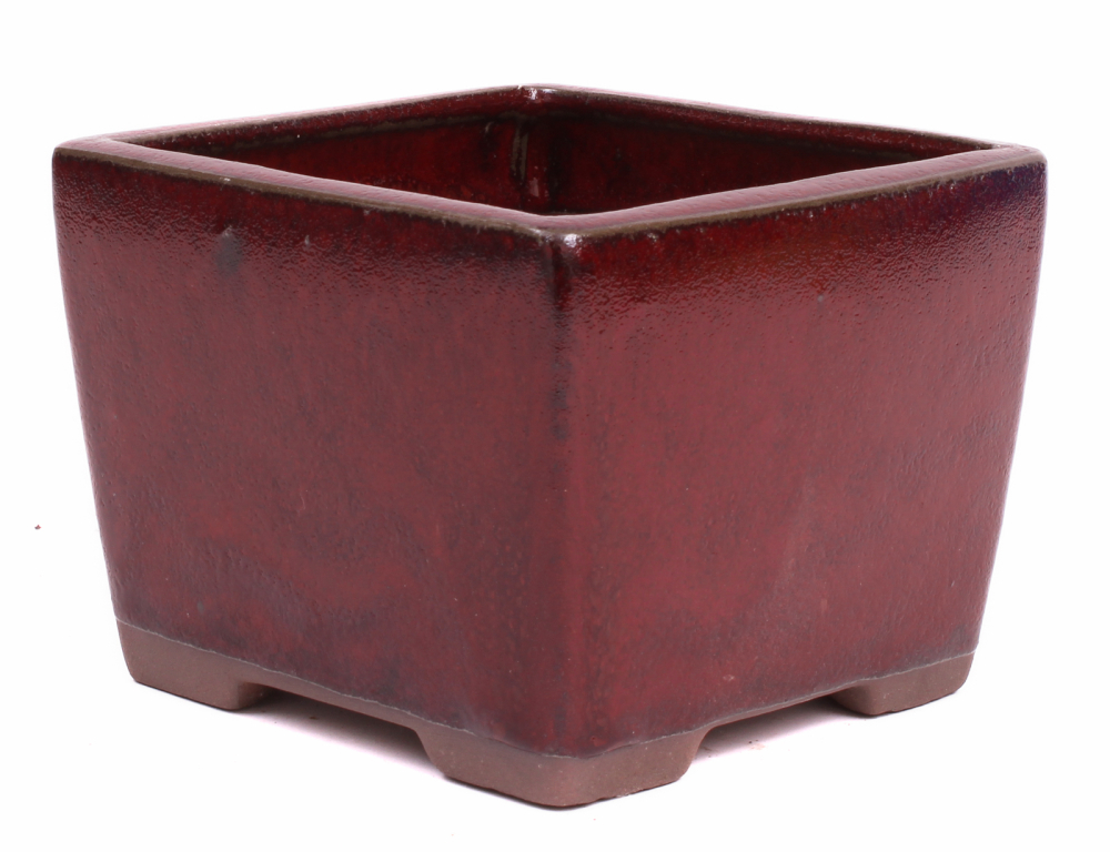 Bonsai Kaskadenschale quadratisch 13.5 x 13.5 x 10.5 cm bordeaux 50069