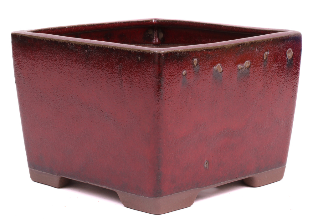 Bonsai Kaskadenschale quadratisch 18 x 18 x 12.5 cm bordeauxfarben 50070