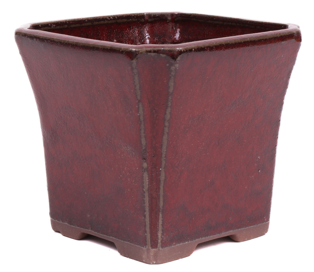 Bonsai Kaskadenschale quadratisch 13 x 13 x 11.5 cm bordeaux 50071