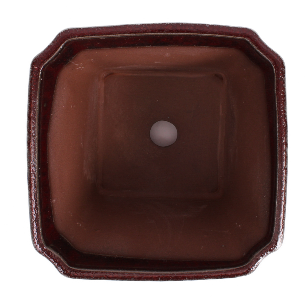 Preview: Bonsai Kaskadenschale quadratisch 13 x 13 x 11.5 cm bordeaux 50071