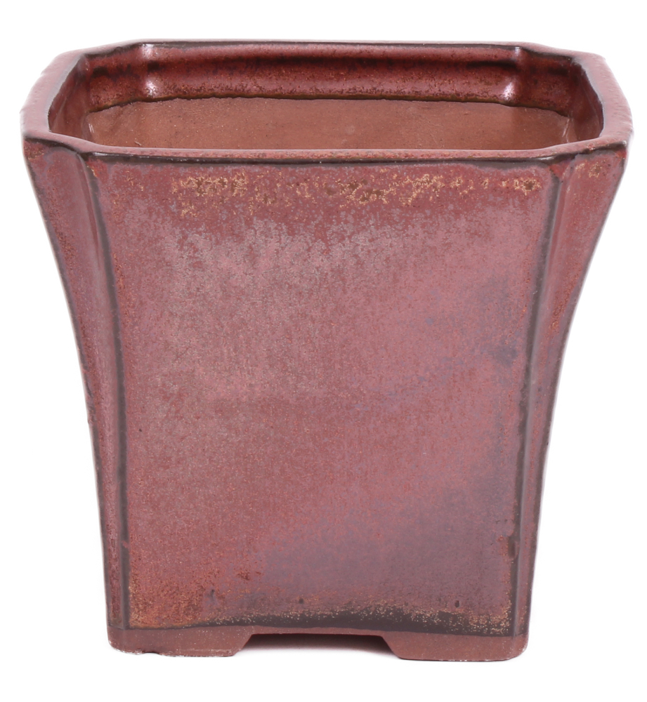 Preview: Bonsai Kaskadenschale quadratisch 13 x 13 x 11.5 cm kupferfarben 50213