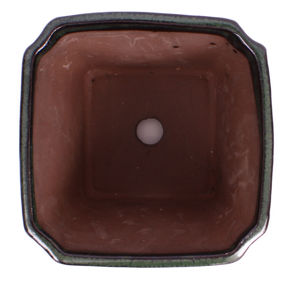 Preview: Bonsai Kaskadenschale quadratisch 13 x 13 x 11.5 cm grün 50215