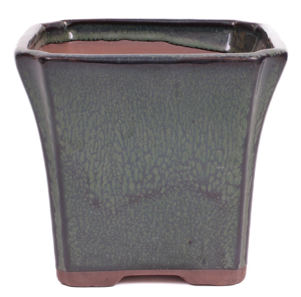 Preview: Bonsai Kaskadenschale quadratisch 15.5 x 15.5 x 14 cm grün 50216