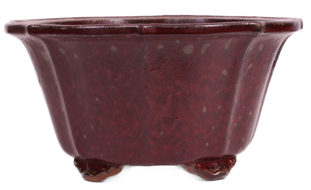 Bonsai - Kaskadenschale rund 39 Ø x 20 cm bordeaux frostfest 50236