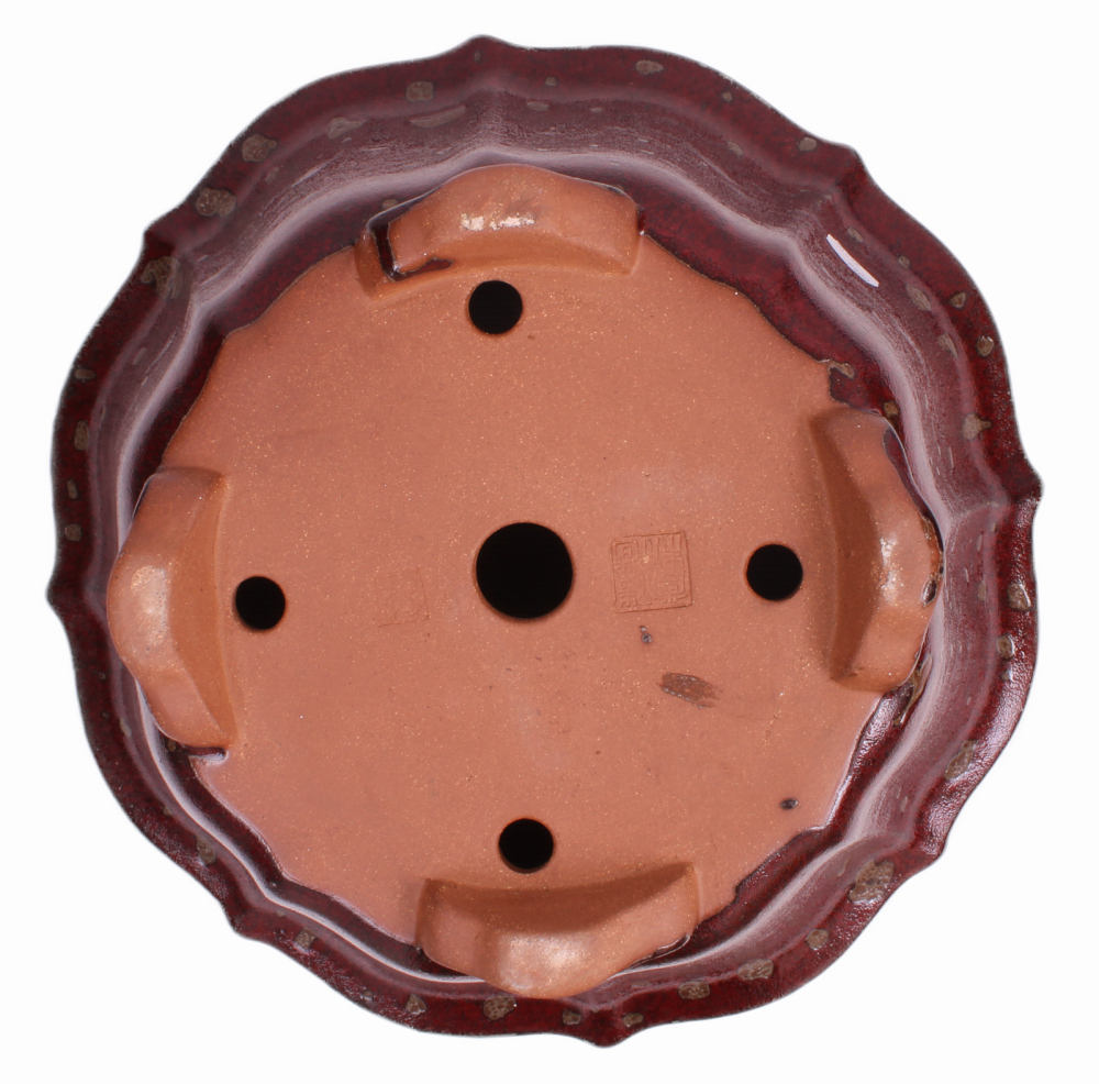 Preview: Bonsai - Kaskadenschale rund 39 Ø x 20 cm bordeaux frostfest 50236