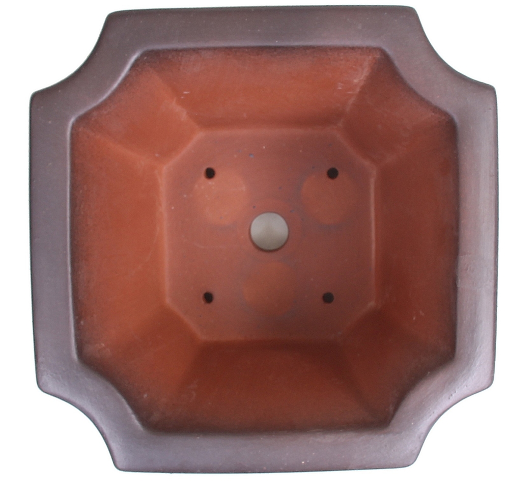 Bonsai - Schale, Kaskadenschale quadratisch 21 x 21 x 13,5 cm, matt braun 50809