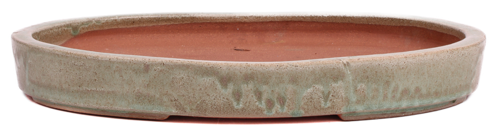 Preview: Bonsai - Schale Waldschale oval 34 x 24 x 4.5 cm mattgrün frostfest 51034