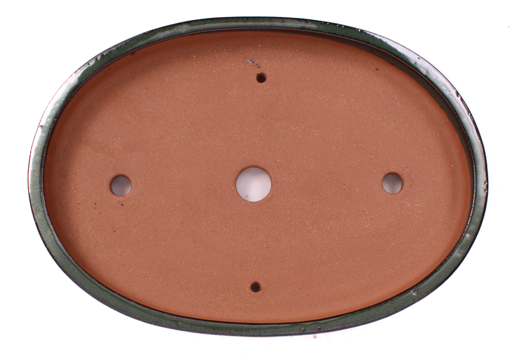 Preview: Bonsai - Schale Waldschale oval 34 x 24 x 4.5 cm moosgrün frostfest 51037