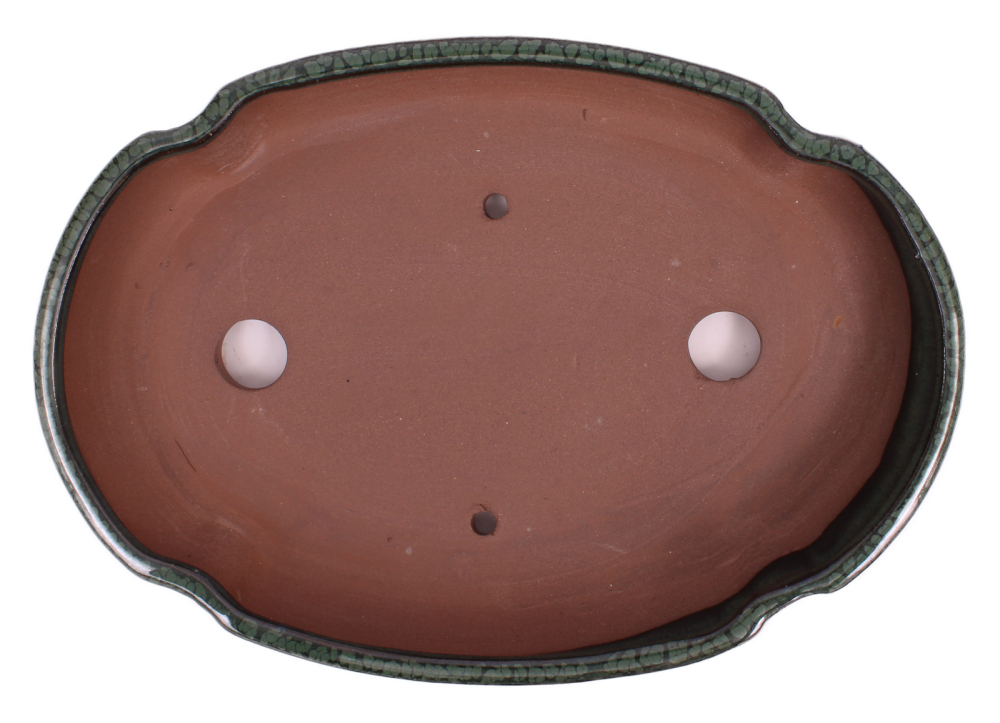 Preview: Bonsai - Schale Waldschale oval 27 x 19 x 4.5 cm moosgrün 51040