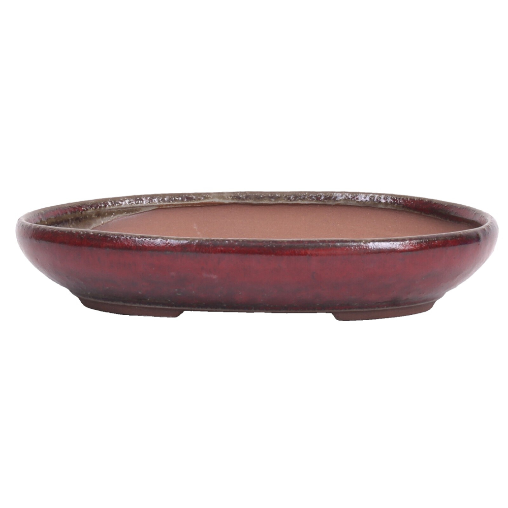 Bonsai - Schale, Waldschale, oval 24 x 18 x 4.5 cm bordeaux  51333