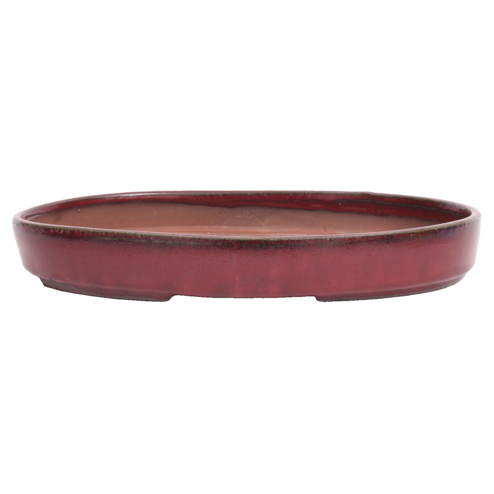 Bonsai - Schale, Waldschale, oval 31 x 21 x 4,5 cm bordeaux   51337