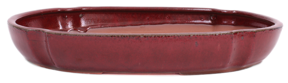 Bonsai - Schale, Waldschale, oval 37.5 x 26.5 x 5.8 cm bordeaux  51363