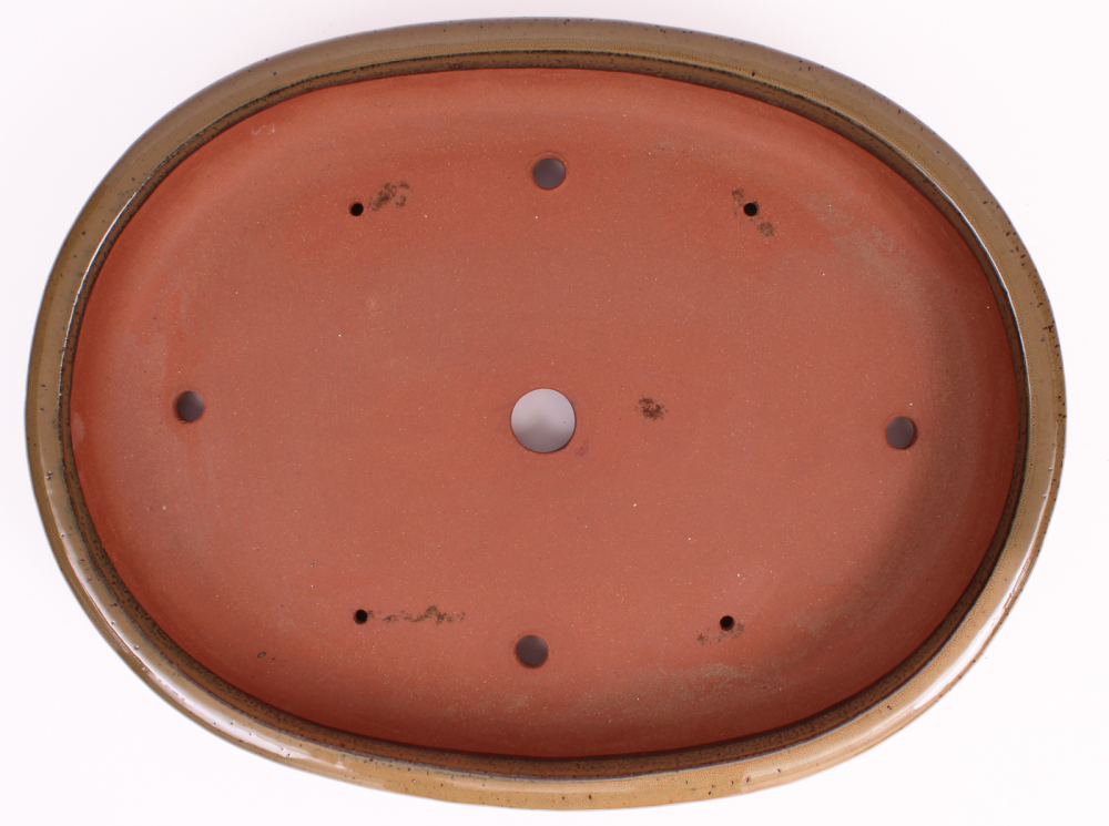 Preview: Bonsai - Schale, Waldschale, oval 55 x 42 x 8 cm hellbraun frostfest  51373