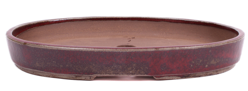 Bonsai - Schale Waldschale oval 37 x 26.5 x 5 cm bordeaux frostfest  51380