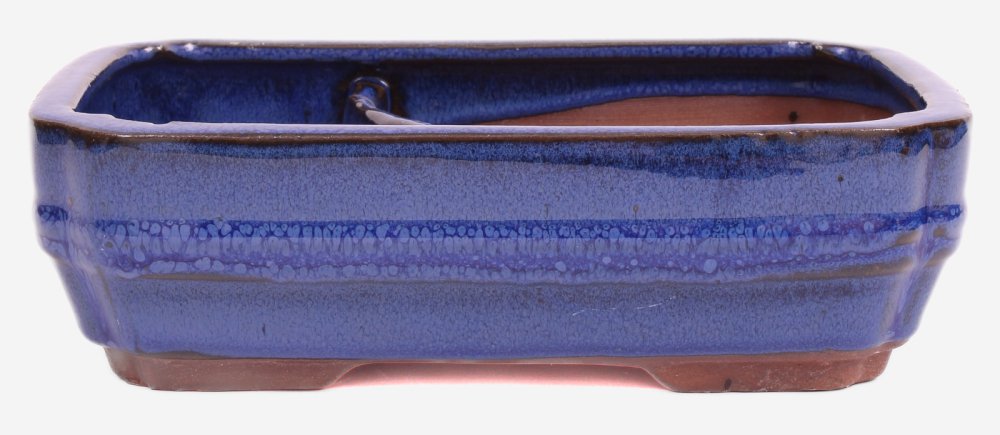 Preview: Bonsai - Schale, Wasserschale, eckig  22 x 16 x 6.5 cm blau 51399